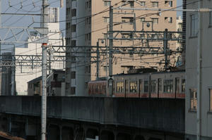 s-rIMG_1541.jpg