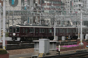 s-rIMG_1585.jpg