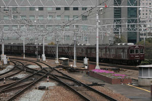 s-rIMG_1611.jpg