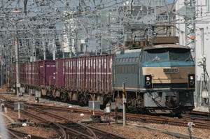 s-rIMG_2259.jpg