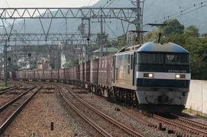 s-rIMG_2317.jpg