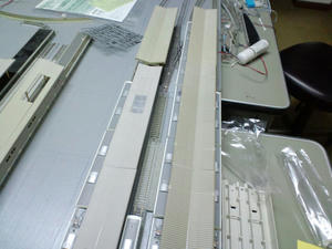 s-rCA3C0550.jpg