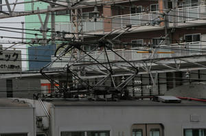 s-rIMG_3222.jpg