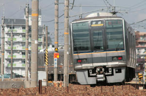 s-rIMG_3443.jpg