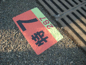 s-wIMG_0533.jpg
