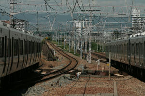 s-wIMG_5031.jpg