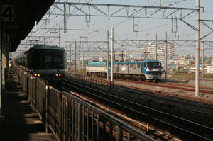 s-wwIMG_5670.jpg