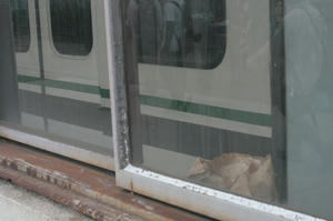 s-wIMG_6063.jpg