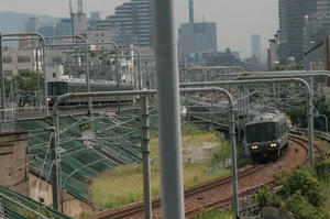 s-wIMG_7773.jpg