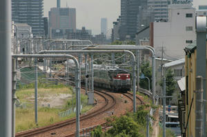 s-wIMG_7793.jpg