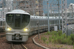 s-wIMG_7855.jpg