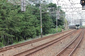 s-wwIMG_0468.JPG