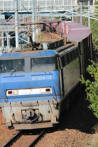 s-wwIMG_0917.JPG