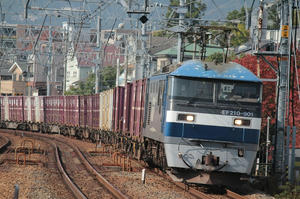s-wwIMG_1226.JPG