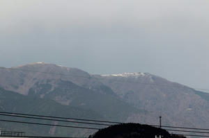 s-wwIMG_1650.JPG