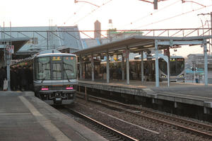 s-wwIMG_1920.JPG