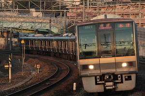 s-wwIMG_1936.JPG