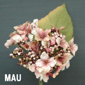 img56029310.gif
