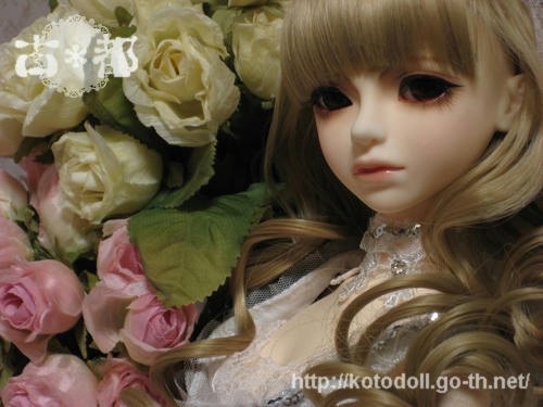 IMG_1211.JPG