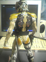 raiden05.jpg