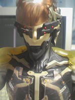 raiden07.jpg