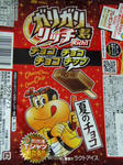 ガリガリ_リッチチョコ