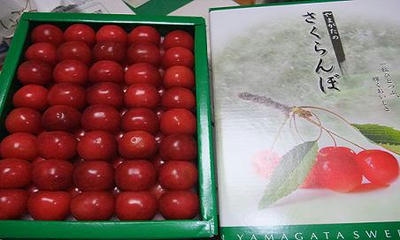 8f760865.jpg