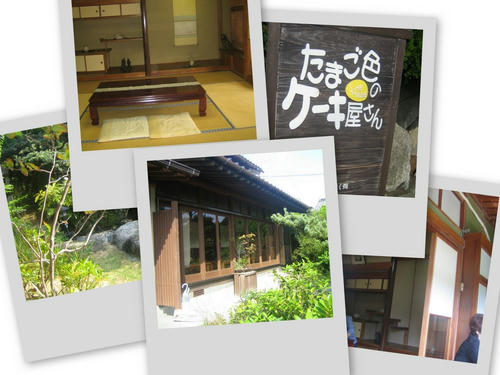 collage7.jpg