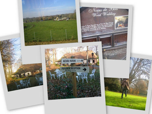 collage11.jpg