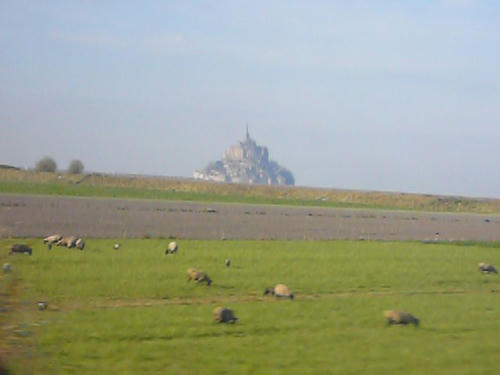 P1000577.JPG