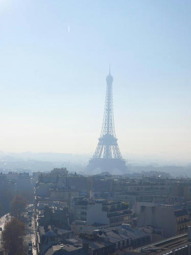 P1000649-1.JPG