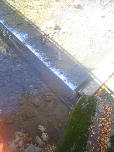 fa98db07.jpg