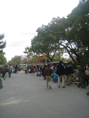 0910dfeb.jpg