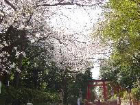 dosanko2.jpg