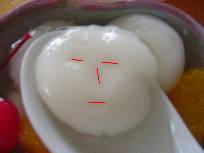 shiratama3.jpg