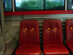 disea03.JPG
