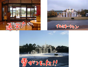 disea11.JPG