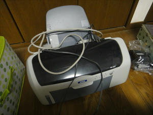 DSC00517.JPG