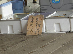 chiba02.jpg