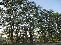 IMG_0879.JPG