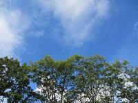IMG_1018.JPG