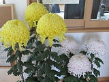 IMG_1131.JPG