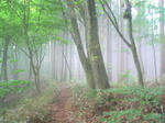 4f63d11a.jpg