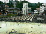 P1050484.jpg