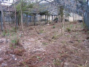 IMG_5927.jpg
