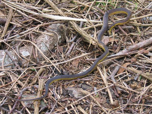 IMG_5937.jpg