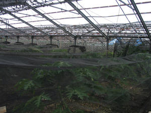 IMG_6794.jpg