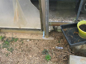 IMG_6785.jpg
