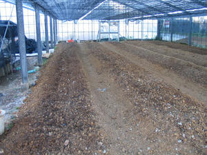 IMG_6878.jpg