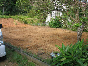 IMG_6872.jpg